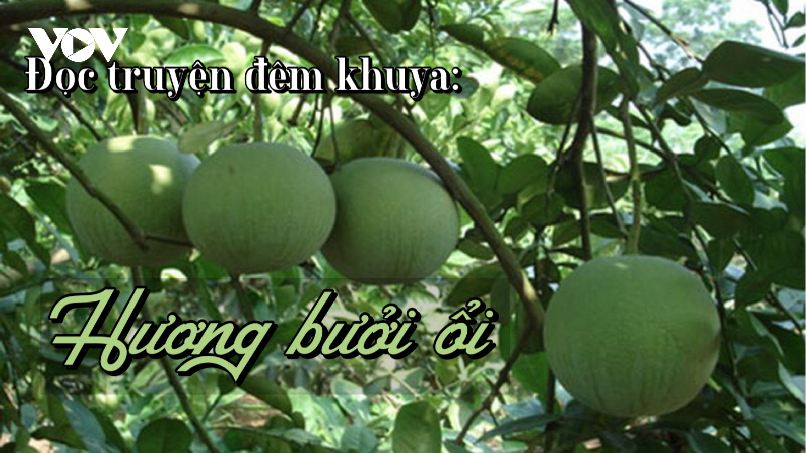 Truyện ngắn "Hương bưởi ổi" - Hương vị tình yêu